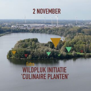 De wandeling van 26okt is volgeboekt!! Daarom organiseren we op 2 november nog een wandeling door ons favorite domein Hazewinkel !!! 🌱 Daarna serveren we lekkere pizza in de houtoven en een drankje. 🍕 Kom gerust ook enkel voor de gezelligheid en lekkere pizza’s 🥳

Voor de wandeling moet je reserveren op de website wildr.be (linkje in onze bio). Voor pizza en drankjes mag je gewoon gezellig aanschuiven!

Wandeling start om 12u  Lekkers is er vanaf 15u (iedereen welkom!)

#hazewinkel #bosbaden #wildplukken #initiatie #wandeling #boswandeling #paddestoelen #eetbaar #zoeken #planten #kruiden #erbestaatgeenonkruid #pizza #houtoven #gezellig
